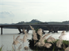 新梅江大橋